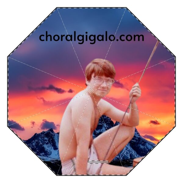 choralgigalo.com Semi-Automatic Foldable Umbrella